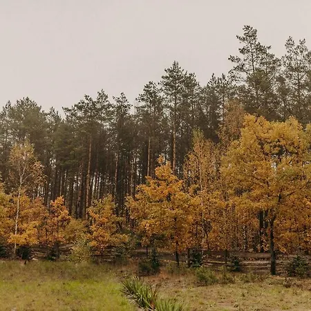 Na Skarpie アパート