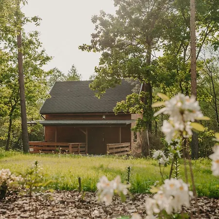 Na Skarpie アパート